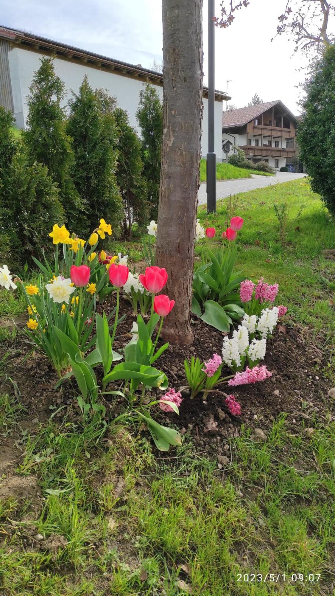 Ferienhaus Am Bach Achslach Exterior foto